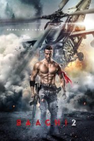 Baaghi 2 Afsomali