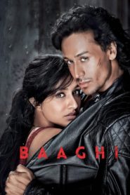 Baaghi 1 Afsomali