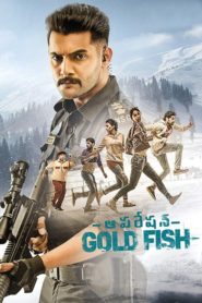 Operation Gold Fish Afsomali