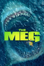 The Meg Afsomali