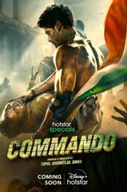 Commando Afsomali